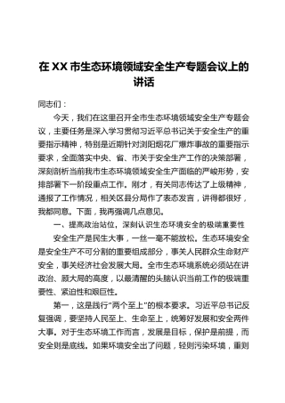 在XX市生态环境领域安全生产专题会议上的讲话