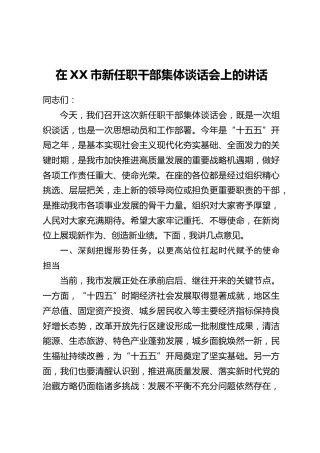 在XX市新任职干部集体谈话会上的讲话