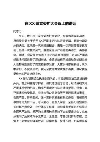 在XX镇党委扩大会议上的讲话