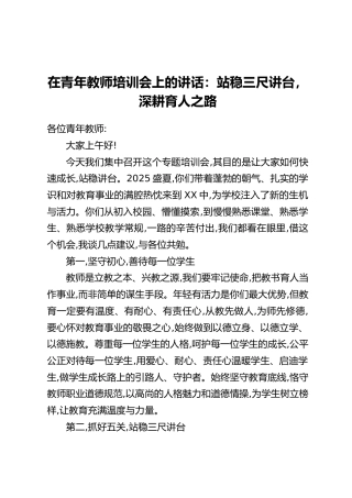 在青年教师培训会上的讲话：站稳三尺讲台，深耕育人之路