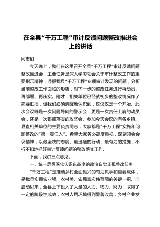 在全县“千万工程”审计反馈问题整改推进会上的讲话