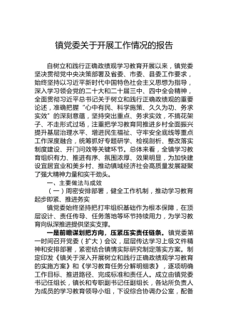 镇党委关于开展工作情况的报告