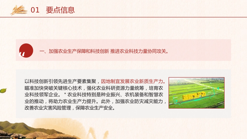 2025年中央一号文件要点及全文解读党课ppt+讲稿(8600字,30张,乡村振兴)_第5页