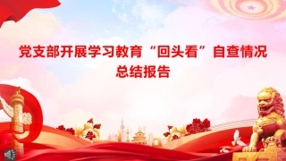 八项规定精神学习教育”回头看“总结报告PPT