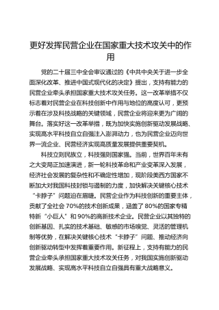 研讨发言：更好发挥民营企业在国家重大技术攻关中的作用