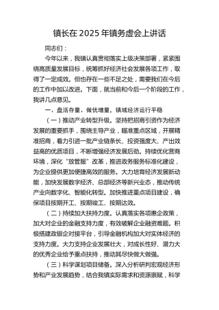 乡镇镇长在2025年务虚会上的讲话
