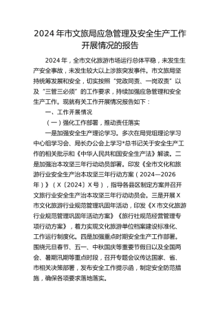 市文旅局应急管理及安全生产工作开展情况总结报告