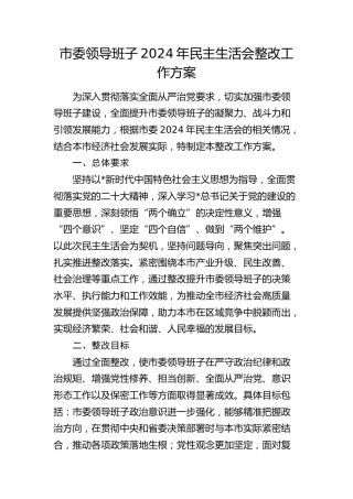 市委2024年度民主生活会整改工作方案