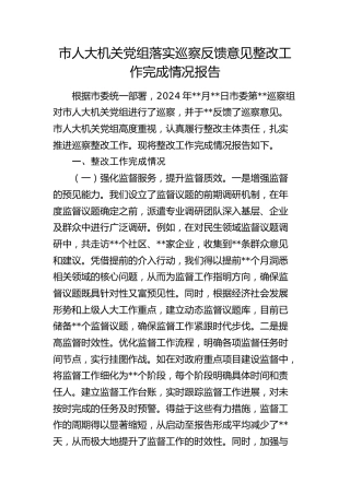 市人大落实巡察反馈意见整改工作完成情况总结报告