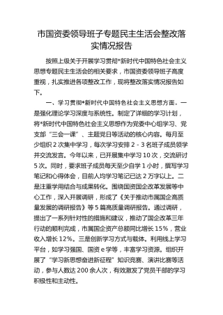 市国资委领导班子上年度民主生活会整改落实情况总结报告3000字