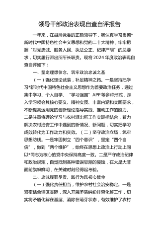 领导干部政治表现自查自评报告（公安）