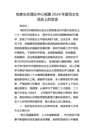 检察长在理论中心组暨2024年度民主生活会上的发言3200字