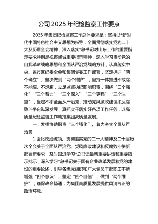 公司2025年纪检监察工作要点2900字