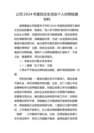 公司2024年度民主生活会个人对照检查（青海）