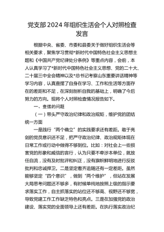 2024年组织生活会个人对照检查发言3200字（四个带头）