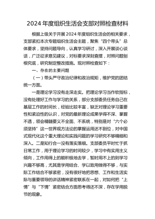 2024年度组织生活会支部班子对照检查2800字