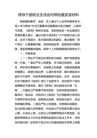 2024年度民主生活会个人对照检查4400字