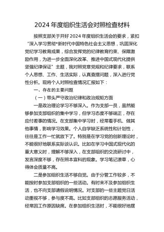 乡镇2024年度组织生活会个人对照检查4400字