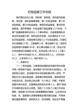 县纪委纪检监察工作总结4300字
