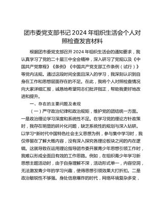 团市委党支部书记2024年组织生活会对照检查6500字