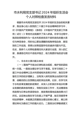市水利系统党支部书记2024年组织生活会对照检查6700字