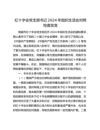 市红十字会党支部书记2024年组织生活会对照检查6600字