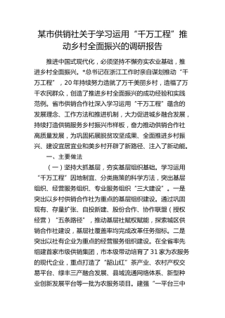 市供销社关于学习运用“千万工程”推动乡村全面振兴的调研报告