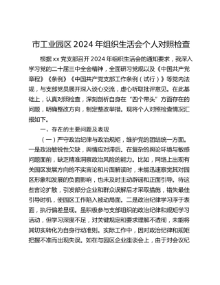 市工业园区2024年组织生活会个人对照检查4900字