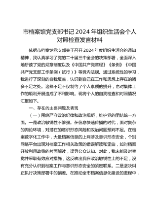 市档案馆党支部书记2024年组织生活会对照检查