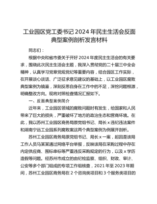 工业园区党工委书记2024年民主生活会反面典型案例对照检查5000字（四个带头+以案促改典型案例）