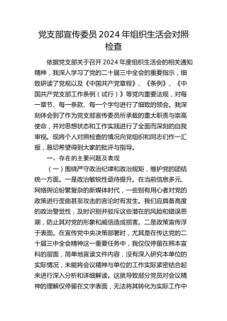 党支部宣传委员2024年组织生活会对照检查5800字