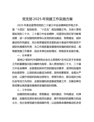 党支部2025年党建工作实施方案（5方面13个要点）