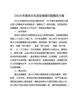 2024年度民主生活会查摆问题整改方案5100字（审计）
