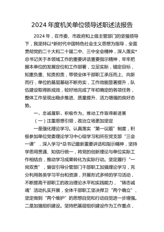 2024年度领导述职述法报告3800字