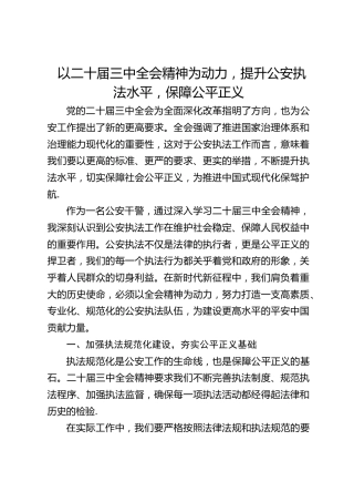 研讨发言：以三中全会精神为动力，提升公安执法水平，保障公平正义
