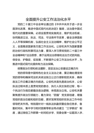 研讨发言：全面提升公安工作法治化水平