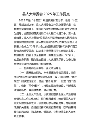县人大2025年工作要点（计划）