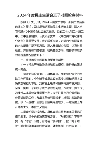 司法系统2024年度民主生活会班子对照检查6200字（含民族共同体）