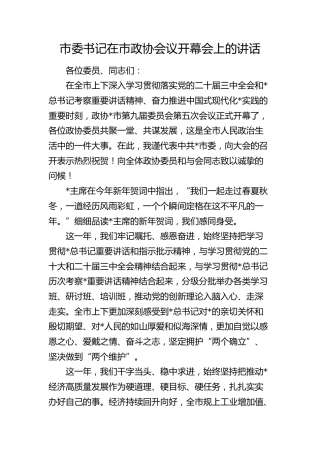 市委书记在市政协会议开幕会上的讲话2