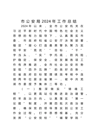 市公安局2024年工作总结