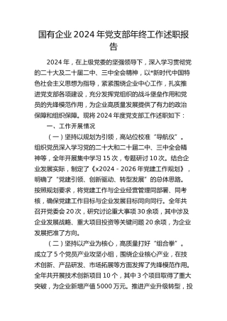 国企公司党支部工作述职报告（支部总结）