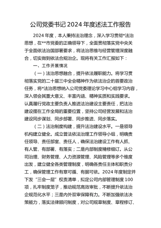 公司党委书记2024年度述法工作报告2100字