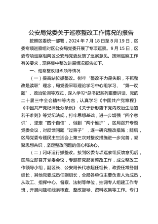 公安局巡察整改工作情况总结报告