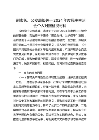 副市长、公安局长2024年度民主生活会个人对照检查