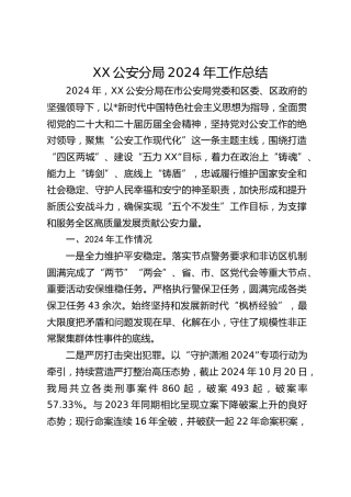 XX公安分局2024年工作总结（简单版)