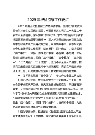 2025年纪检监察工作要点（公司）