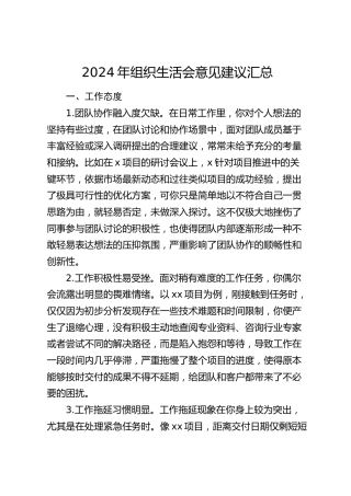 2024年组织生活会意见建议36条