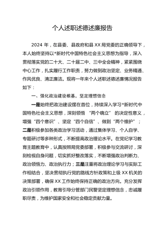 2024年度公安局副局长个人述职述德述廉报告