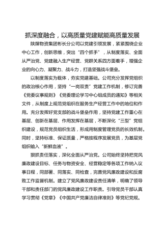 抓深度融合，以高质量党建赋能高质量发展