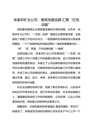 张家峁矿业公司：擦亮党建品牌  汇聚“红色动能”